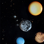 Блюдо Seletti Sun варинант исполнения - 6 | Loft Concept в Новосибирске