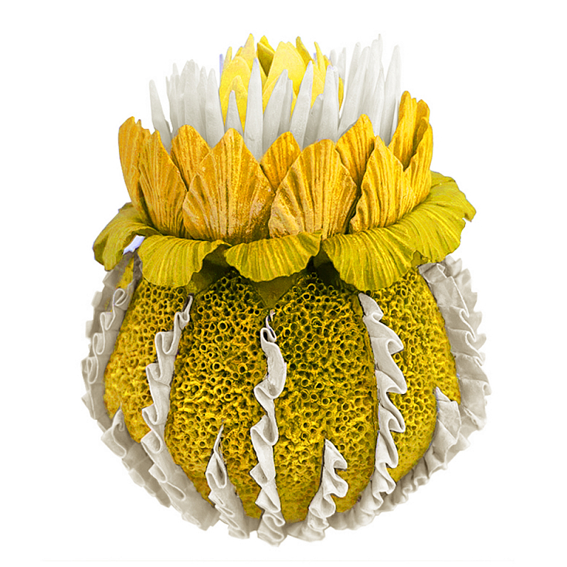 Желтый Экзотический фрукт Yellow Pandora Exotic Fruit 44 Желтый Желтый Экзотический фрукт Yellow Pandora Exotic Fruit 44 Желтый в Новосибирске | Loft Concept