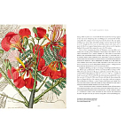 Прекрасно иллюстрированная книга более 100 ботанических произведений Plant Hunters Atlas варинант исполнения - 5 | Loft Concept в Новосибирске