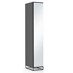 Шкаф-пенал с зеркальной дверцей и фасадом цвета графит Strict Lines варинант исполнения - 2 | Loft Concept в Новосибирске