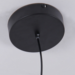 Люстра подвесная светодиодная черный металл Ring Horizontal варинант исполнения - 6 | Loft Concept в Новосибирске