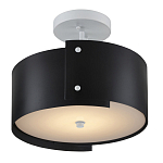 Потолочный светильник круглый светодиодный Semicircular White Panels чёрный варинант исполнения - 2 | Loft Concept в Новосибирске