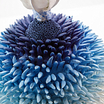 Статуэтка Синий тропический фрукт Tropical Fruit Pandora 4 варинант исполнения - 1 | Loft Concept в Новосибирске