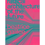 Radical Architecture of the Future варинант исполнения - 1 | Loft Concept в Новосибирске