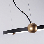 Люстра подвесная светодиодная черный металл Ring Horizontal варинант исполнения - 3 | Loft Concept в Новосибирске