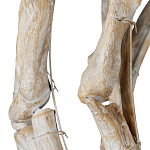 Люстра круглая в виде веток деревьев Natural Driftwood варинант исполнения - 3 | Loft Concept в Новосибирске