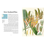 Прекрасно иллюстрированная книга более 100 ботанических произведений Plant Hunters Atlas варинант исполнения - 3 | Loft Concept в Новосибирске