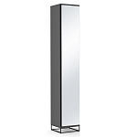 Шкаф-пенал с зеркальной дверцей и фасадом цвета графит Strict Lines варинант исполнения - 1 | Loft Concept в Новосибирске