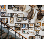 Книга Extraordinary Collections: French Interiors варинант исполнения - 11 | Loft Concept в Новосибирске