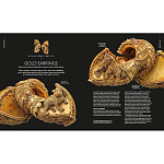 Книга Treasures of India From Antiquity to Modernity варинант исполнения - 3 | Loft Concept в Новосибирске