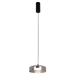 Подвесной светильник Blanton smoky 23 варинант исполнения - 2 | Loft Concept в Новосибирске