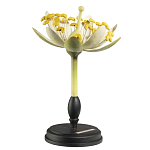 Статуэтка Tilia варинант исполнения - 2 | Loft Concept в Новосибирске