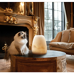 Настольная лампа в форме трапеции из натурального камня Soft Glow of Stone варинант исполнения - 5 | Loft Concept в Новосибирске