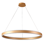 Люстра подвесная светодионая кольцевая золотого цвета Ring Horizontal варинант исполнения - 1 | Loft Concept в Новосибирске