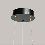 Люстра с прозрачным волнистым плафоном в форме цветка Ethereal Bloom варинант исполнения - 11 | Loft Concept в Новосибирске