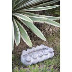 Кашпо Canaries варинант исполнения - 3 | Loft Concept в Новосибирске