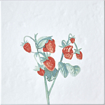 Плитка с узором Земляника варинант исполнения - 2 | Loft Concept в Новосибирске