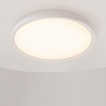 Потолочный светильник Incognito 2700-4000К 46Вт варинант исполнения - 4 | Loft Concept в Новосибирске