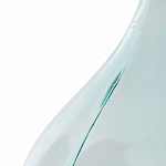 Ваза-бутыль из стекла TRANSPARENT FORMS 56 варинант исполнения - 4 | Loft Concept в Новосибирске