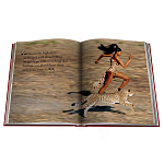 Лимитированная подарочная большая книга CARTIER Panthère варинант исполнения - 12 | Loft Concept в Новосибирске