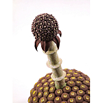 Статуэтка тропический фрукт Pandora Tropical Fruit Brown варинант исполнения - 1 | Loft Concept в Новосибирске