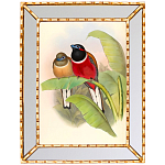 Постер с изображением птиц и цветов в зеркальной раме Blooming Birds Poster варинант исполнения - 6 | Loft Concept в Новосибирске