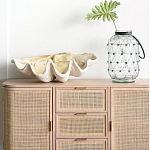 Блюдо декоративное в виде ракушки Seashell варинант исполнения - 1 | Loft Concept в Новосибирске