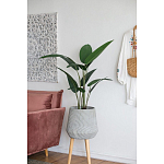 Декоративный искусственное растение Decor Stile  варинант исполнения - 6 | Loft Concept в Новосибирске