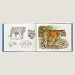 Лимитированная подарочная книга HERMES Fierce and Fragile book, English version варинант исполнения - 2 | Loft Concept в Новосибирске