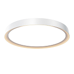 Потолочный светильник Incognito 2700-4000К 46Вт варинант исполнения - 1 | Loft Concept в Новосибирске