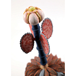 Статуэтка тропический фрукт Pandora Tropical Fruit Orange Brown Pink Flower варинант исполнения - 1 | Loft Concept в Новосибирске