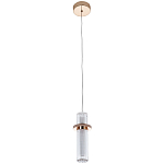 Подвесной светильник золото Odile Acrylic Tube Hanging Lamp Gold варинант исполнения - 2 | Loft Concept в Новосибирске