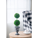 Декоративный искусственное растение Double boxwood варинант исполнения - 5 | Loft Concept в Новосибирске