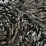 Панно «Чёрный лебедь» варинант исполнения - 3 | Loft Concept в Новосибирске