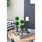 Декоративный искусственное растение Double boxwood варинант исполнения - 8 | Loft Concept в Новосибирске