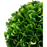 Декоративный искусственное растение Single boxwood варинант исполнения - 2 | Loft Concept в Новосибирске