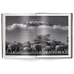 Книга Beusker. Look into my Eyes варинант исполнения - 2 | Loft Concept в Новосибирске