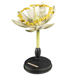 Статуэтка Tilia варинант исполнения - 3 | Loft Concept в Новосибирске