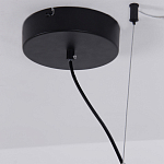 Люстра подвесная светодиодная черный металл Ring Horizontal варинант исполнения - 13 | Loft Concept в Новосибирске