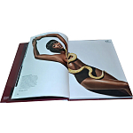 Коллекционная книга Art in Vogue варинант исполнения - 1 | Loft Concept в Новосибирске