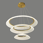 Люстра подвесная с 3-мя кольцевыми светодиодными лампами Catcher варинант исполнения - 1 | Loft Concept в Новосибирске