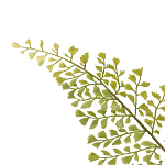 Декоративный искусственное растение Dried flower варинант исполнения - 3 | Loft Concept в Новосибирске