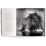 Книга Beusker. Look into my Eyes варинант исполнения - 3 | Loft Concept в Новосибирске