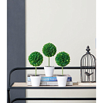 Декоративный искусственное растение Boxwood One варинант исполнения - 9 | Loft Concept в Новосибирске