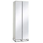 Двухдверный шкаф с зеркальными дверцами Strict Lines варинант исполнения - 5 | Loft Concept в Новосибирске