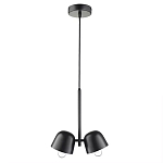 Подвесной светильник черный с 2-мя плафонами Pendant lamp Black варинант исполнения - 1 | Loft Concept в Новосибирске