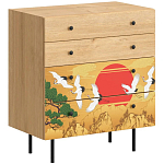 Комод с принтом на ящиках Elise Chest of Drawers варинант исполнения - 4 | Loft Concept в Новосибирске