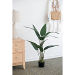 Декоративный искусственное растение Decor Stile  варинант исполнения - 3 | Loft Concept в Новосибирске