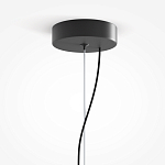 Подвесной светильник Rare grapes варинант исполнения - 4 | Loft Concept в Новосибирске