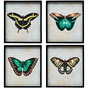Комплект из 4-х постеров Большие Бабочки